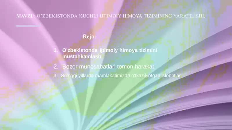 OʼZBEKISTONDA KUCHLI IJTIMOIY HIMOYA TIZIMINING YARATILISHI.