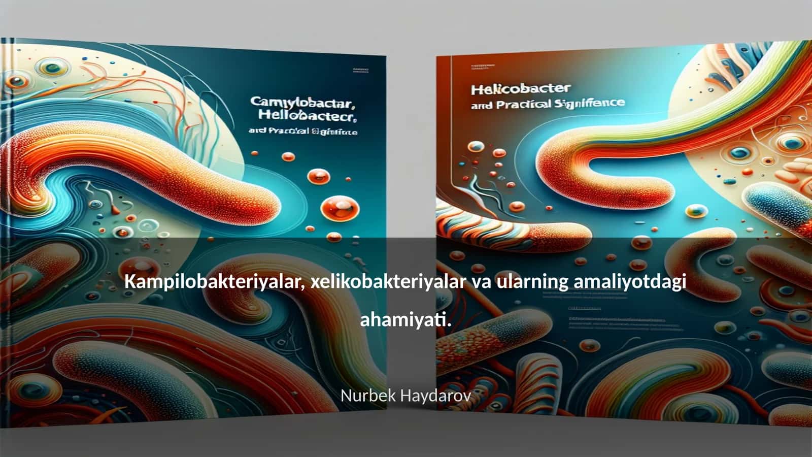 Kampilobakteriyalar, xelikobakteriyalar va ularning amaliyotdagi ahamiyati