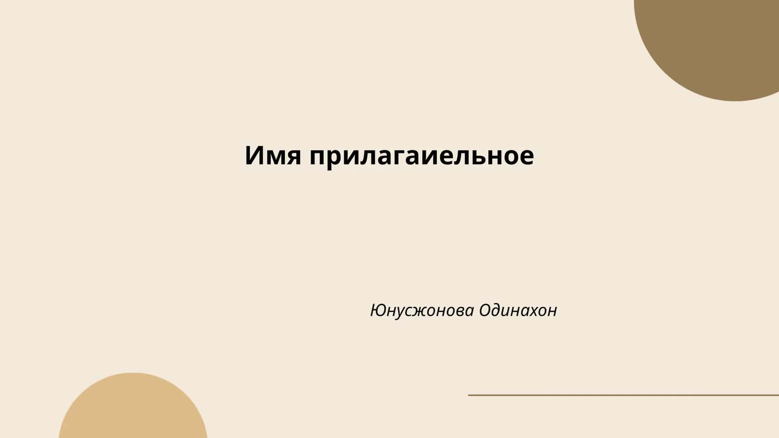 Имя прилагаиельное