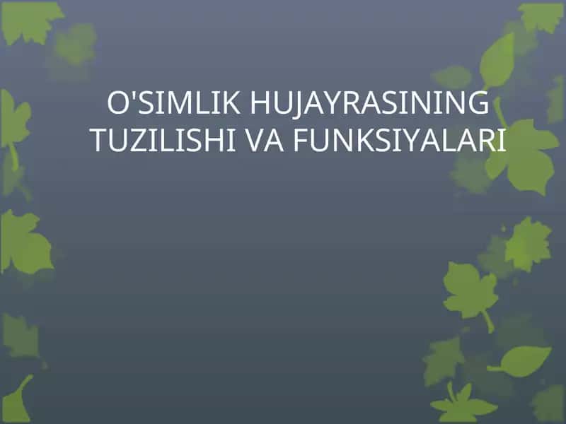 O'SIMLIK HUJAYRASINING TUZILISHI VA FUNKSIYALARI