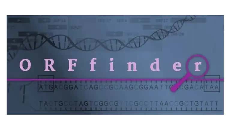 ORF finder