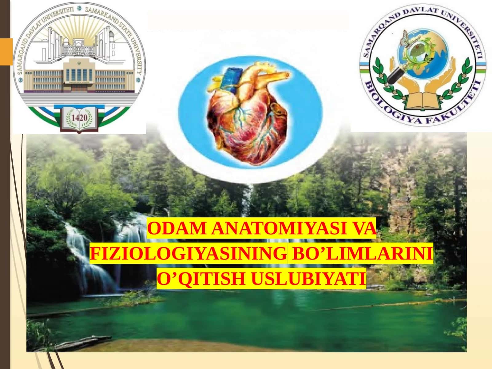 ODAM ANATOMIYASI VA FIZIOLOGIYASI