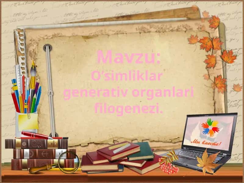 O’simliklar generativ organlari filogenezi