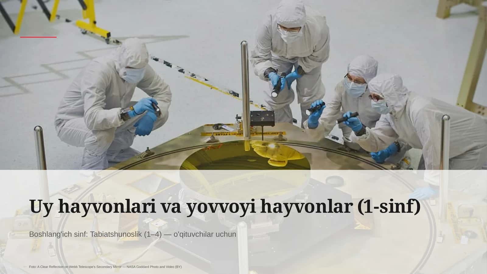 Uy hayvonlari va yovvoyi hayvonlar (1-sinf)