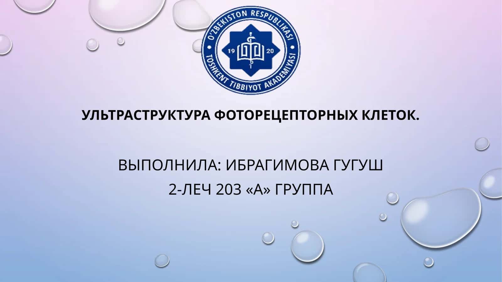 Ультраструктура фоторецепторных клеток