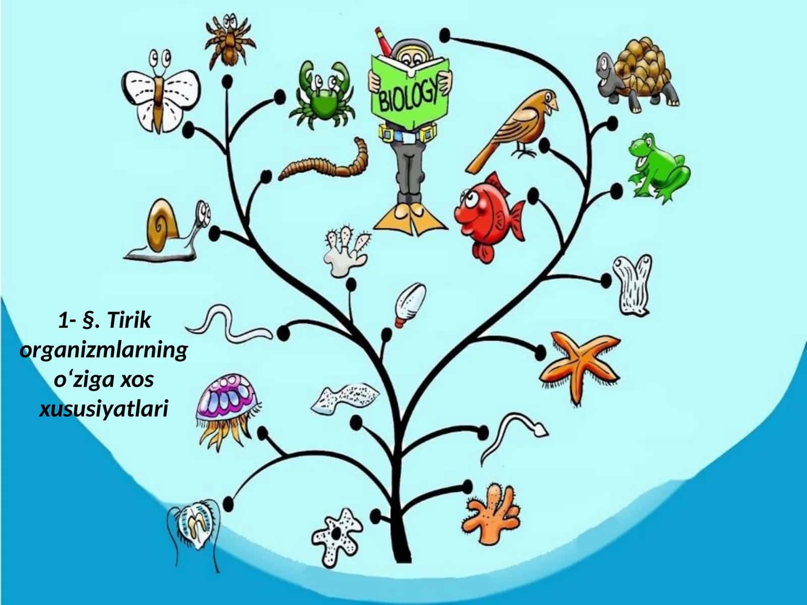 Tirik organizmlarning o‘zi gaxos xususiyatlari