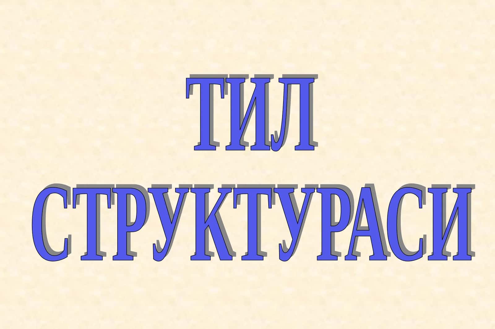 ТИЛ СТРУКТУРАСИ