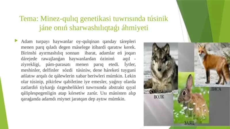 Minez-qulıq genetikası