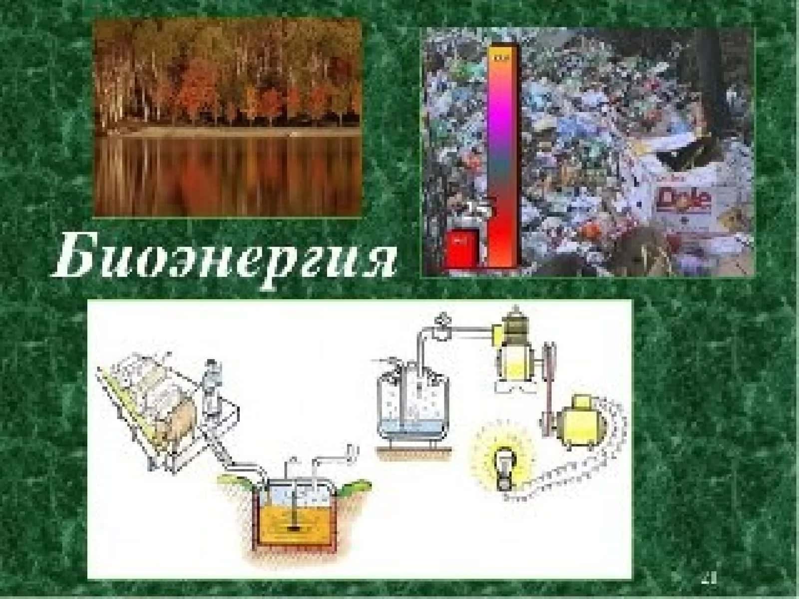 Biomassa energiyasi