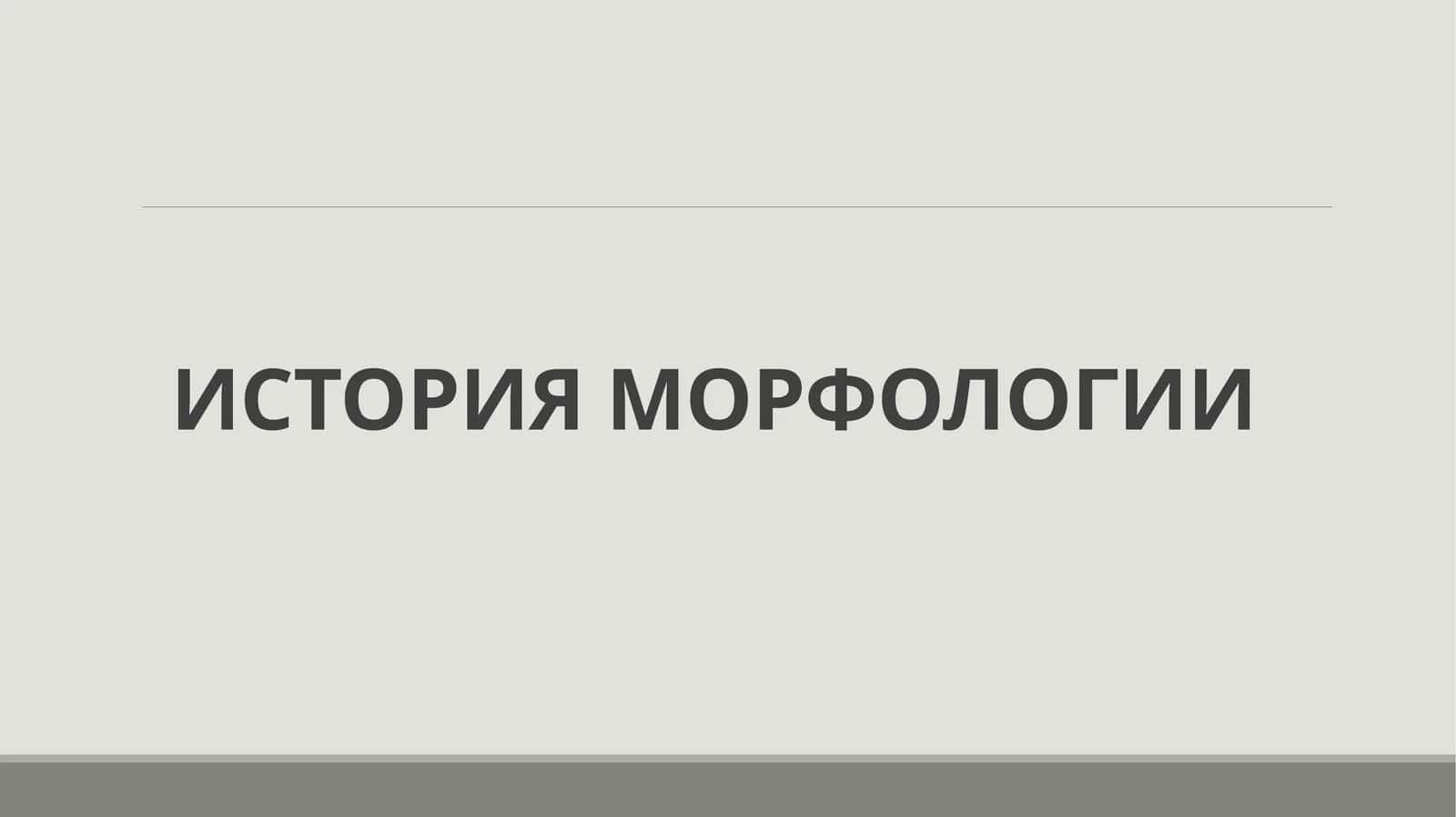 ИСТОРИЯ МОРФОЛОГИИ