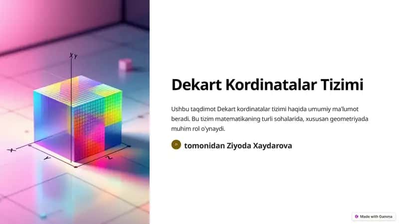 Dekart Kordinatalar Tizimi