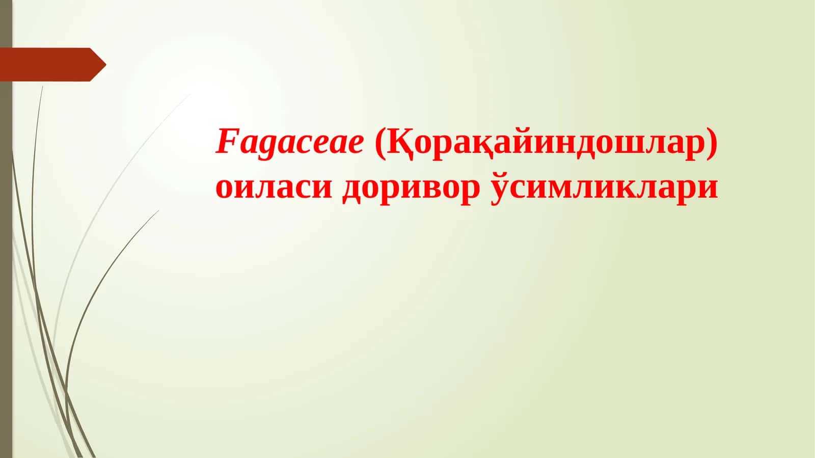 Fagaceae(Қорақайиндошлар) оиласи доривор ўсимликлари