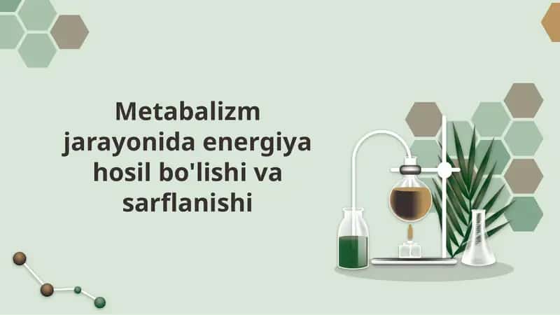 Metabalizm jarayonida energiya hosil bo'lishi va sarflanishi
