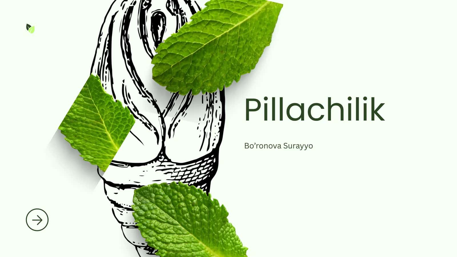 Pillachilik