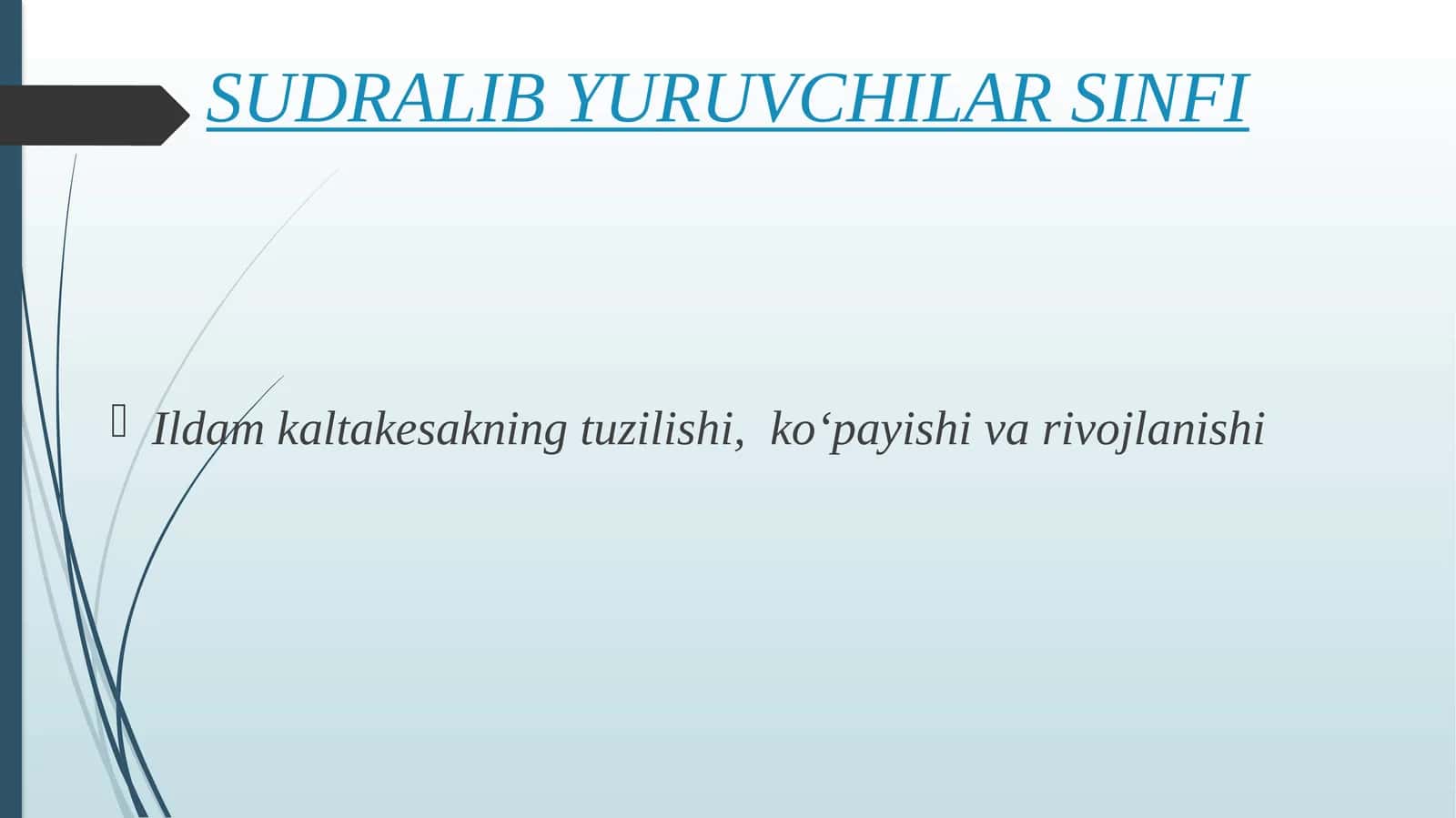 SUDRALIB YURUVCHILAR SINFI