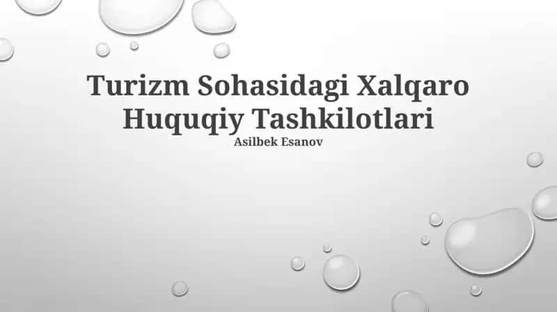 Turizm Sohasidagi Xalqaro Huquqiy Tashkilotlari