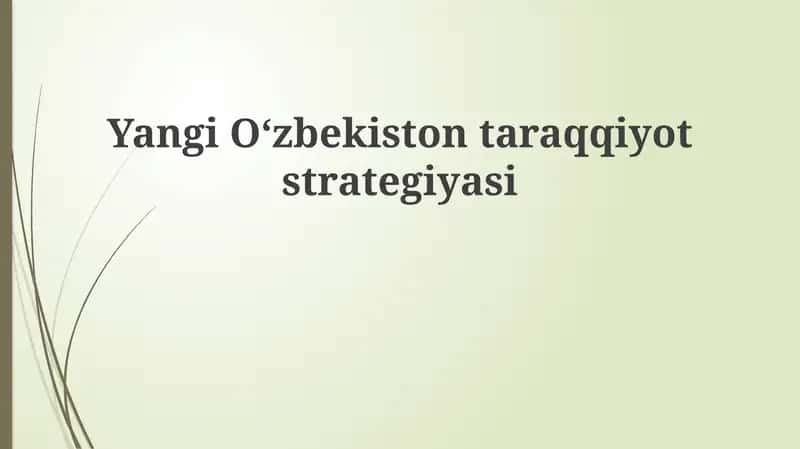 Yangi Oʻzbekiston taraqqiyot strategiyasi