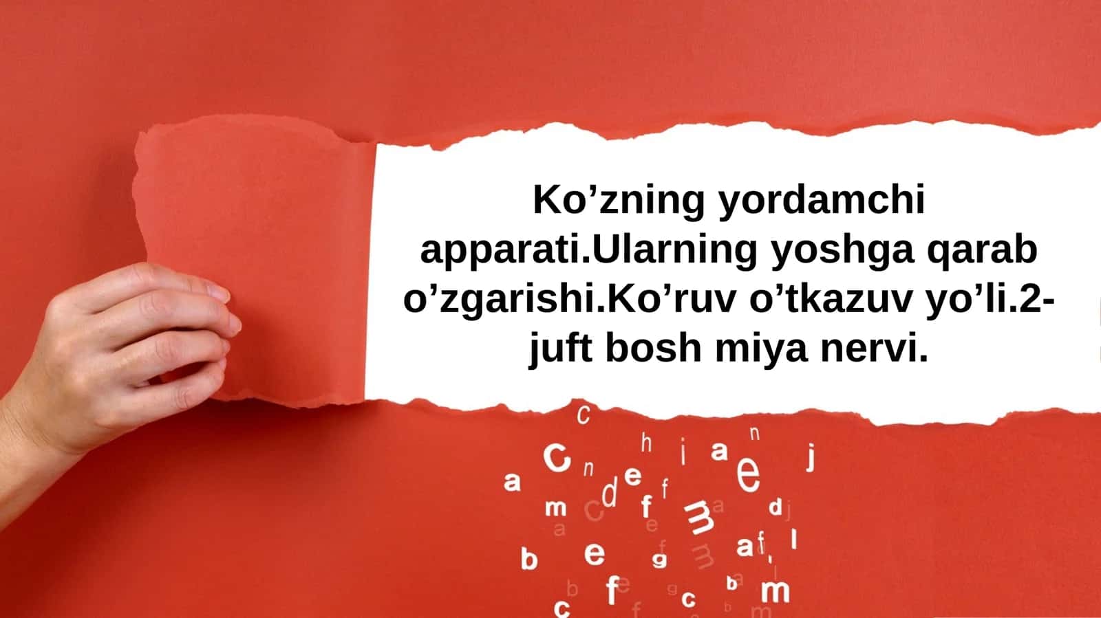 Ko’zning yordamchi apparati.Ularning yoshga qarab o’zgarishi.Ko’ruv o’tkazuv yo’li.2-juft bosh miya nervi