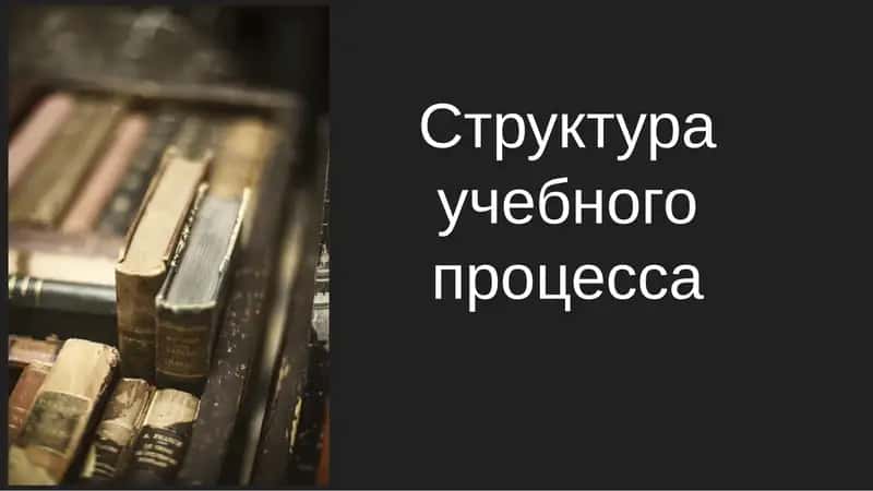 Структура учебного процесса
