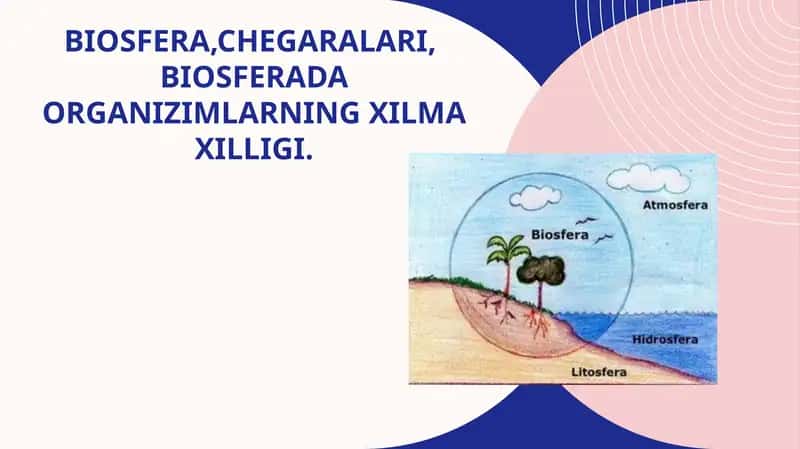Biosfera,chegaralari, biosferada organizimlarning xilma xilligi.