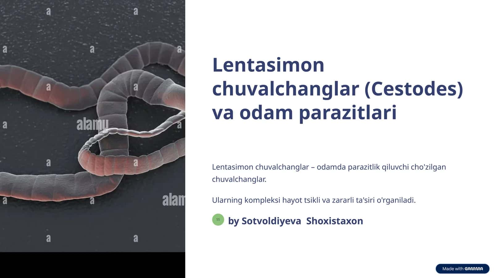 Lentasimon chuvalchanglar (Cestodes) va odam parazitlari