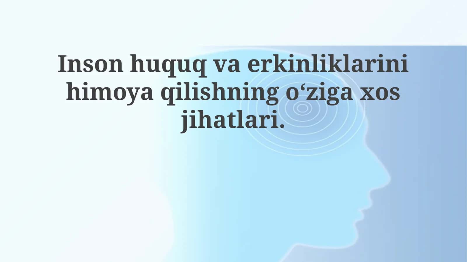Inson huquqlari va erkinliklarini himoya qilishning o'ziga xos jihatlari