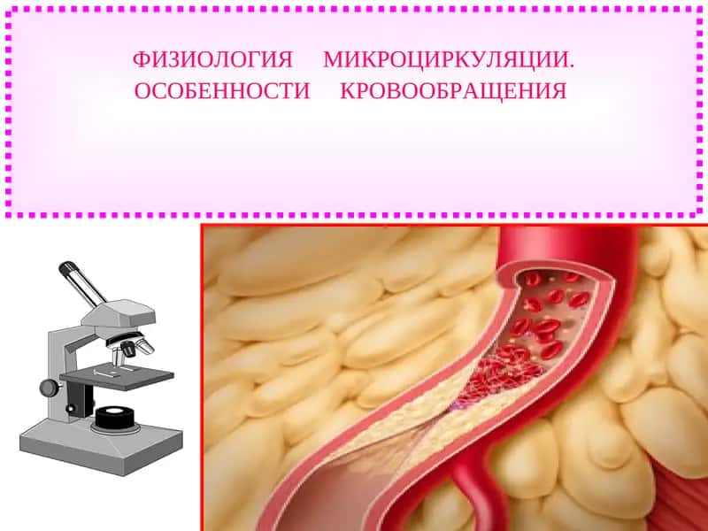 Физиология микроциркуляции