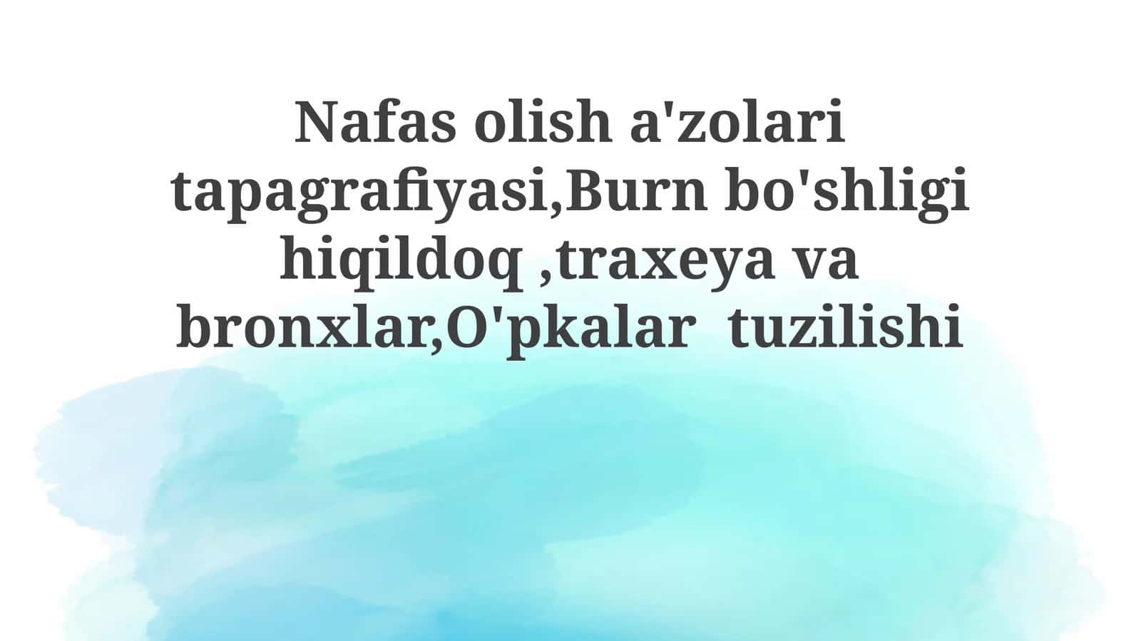Nafas olish organlarining topografiyasi