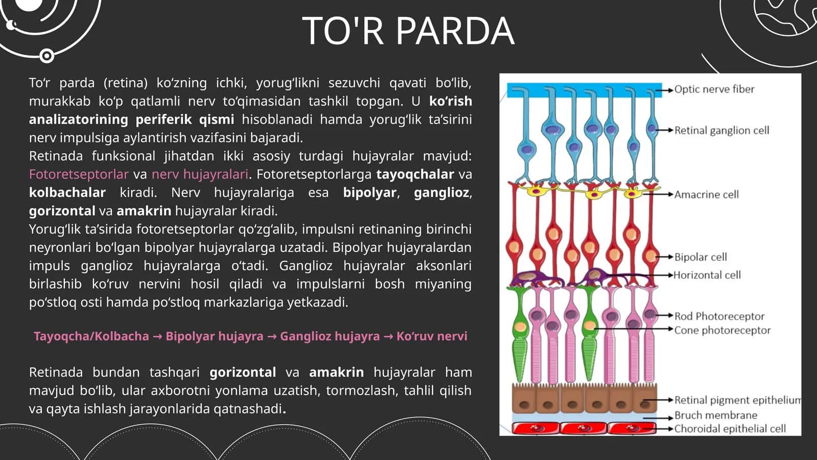 TO'R PARDA
