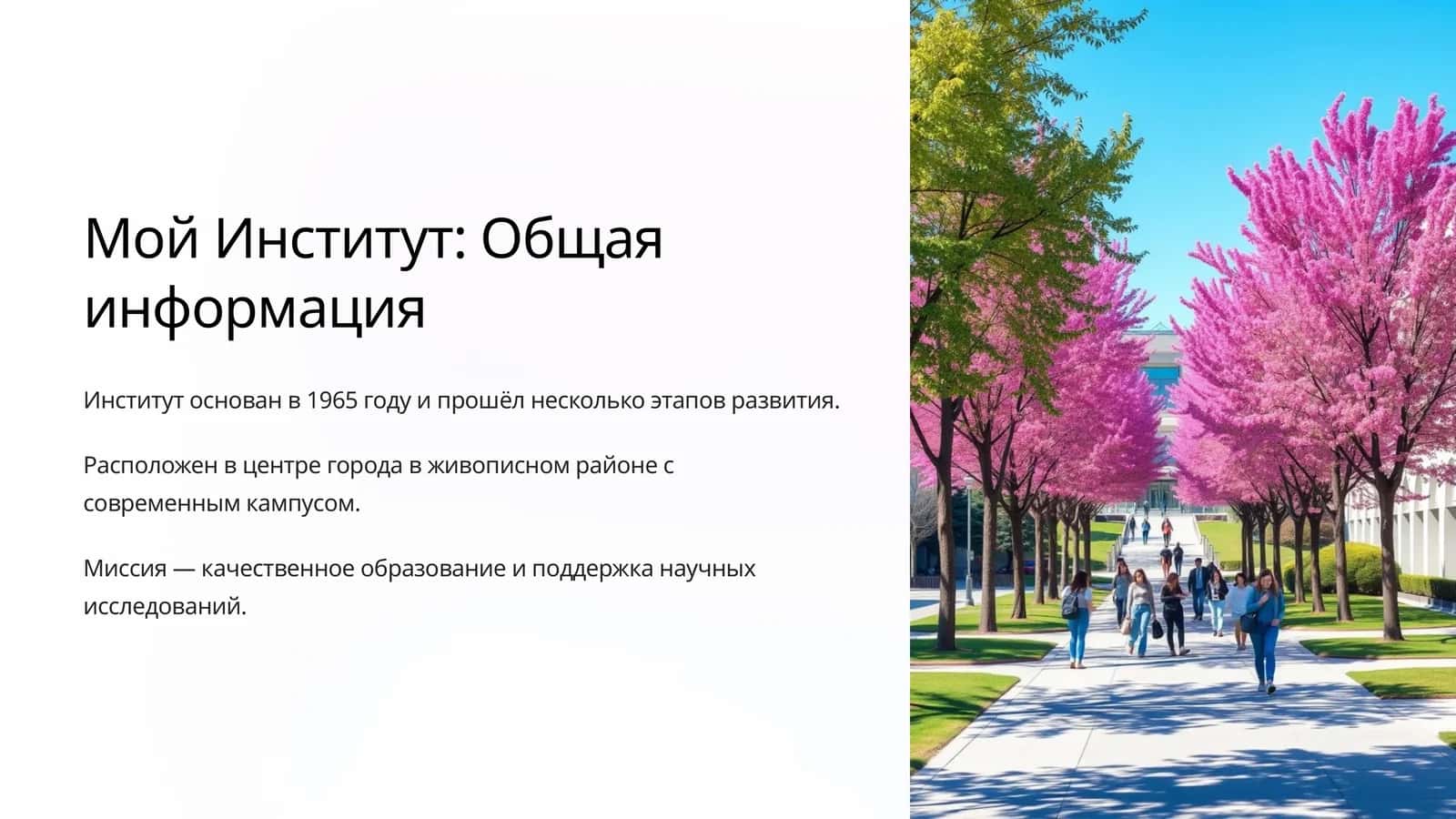 Программы и Специализации