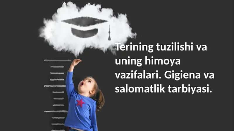 Terining tuzilishi va himoya vazifalari