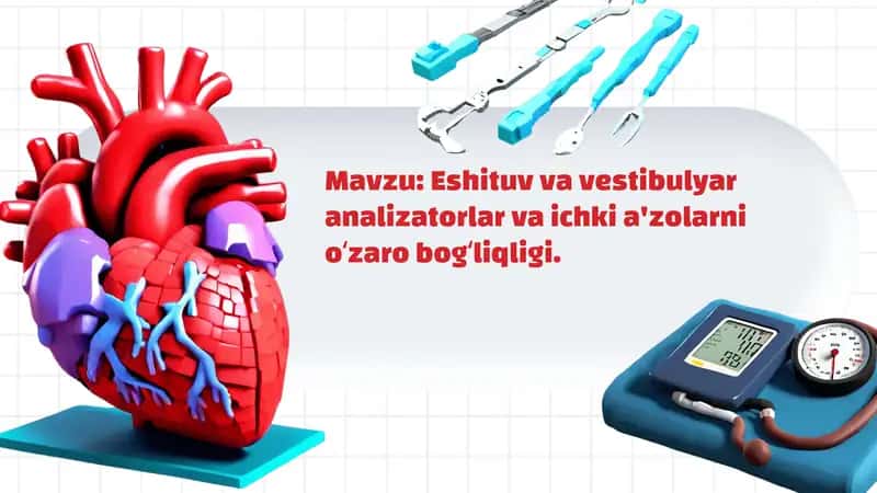 Eshituv va vestibulyar analizatorlar va ichki a'zolarni oʻzaro bogʻliqligi