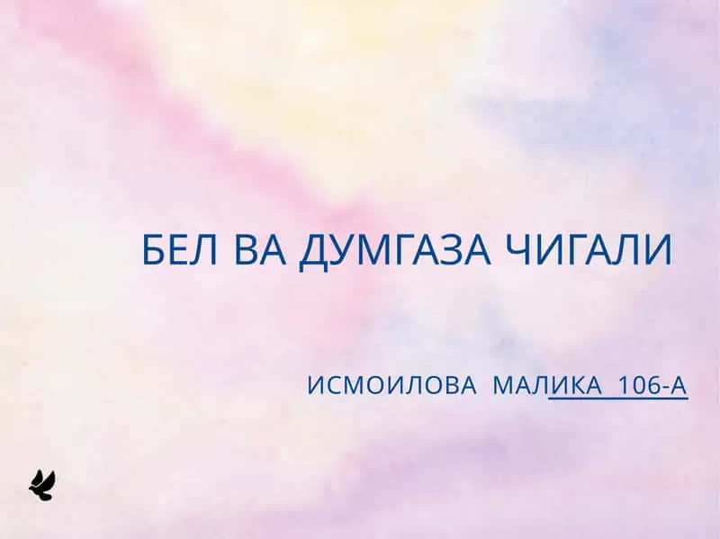 Бел чигали