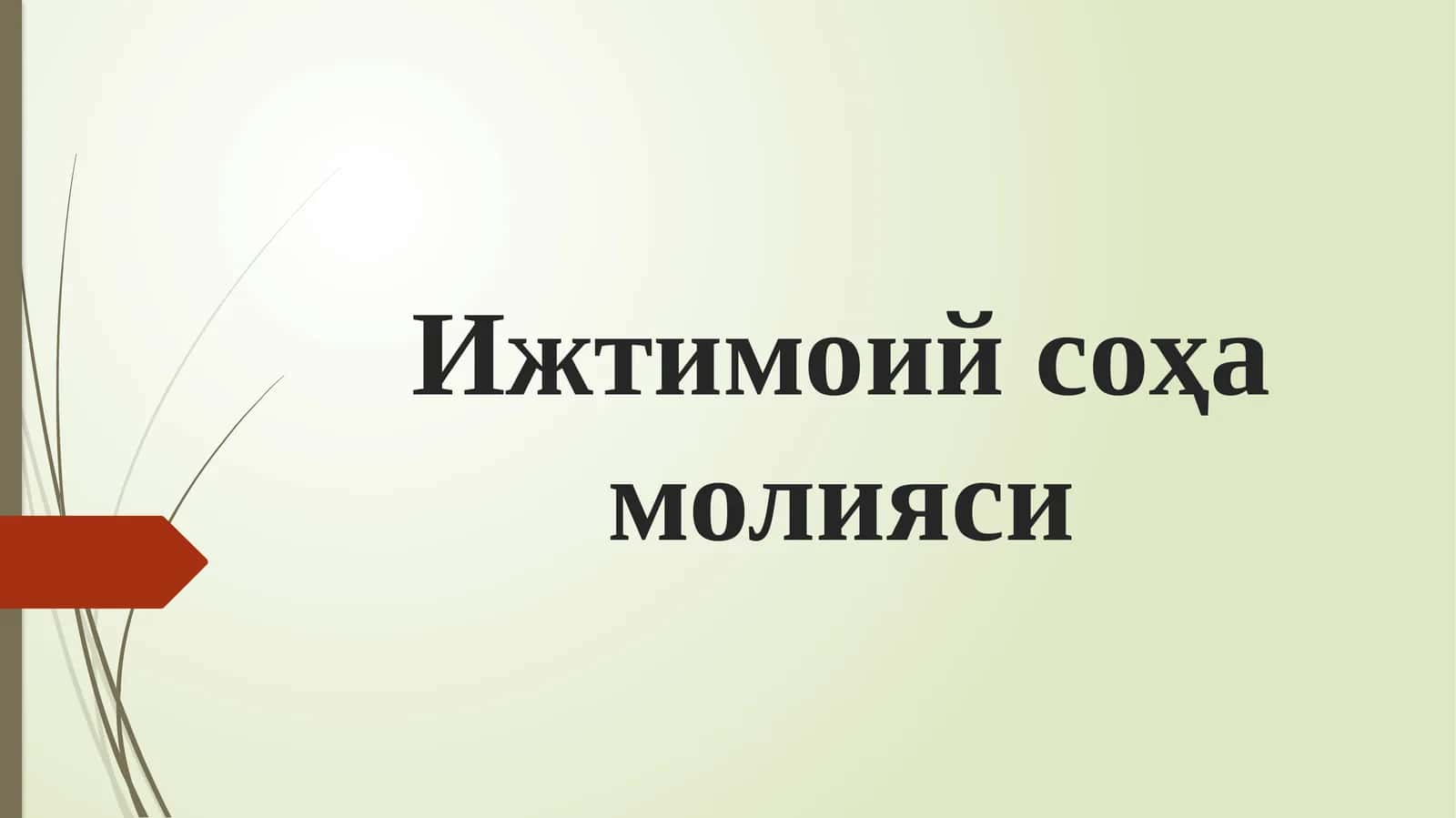 Ижтимоий соҳа молияси