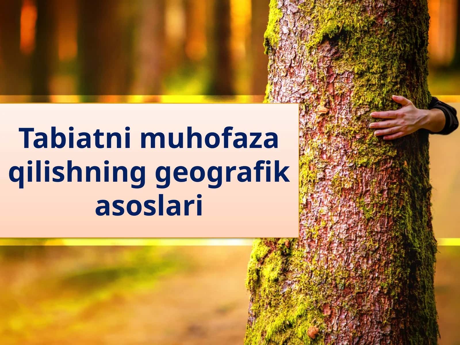 Tabiatni muhofaza qilishning geografikasosi