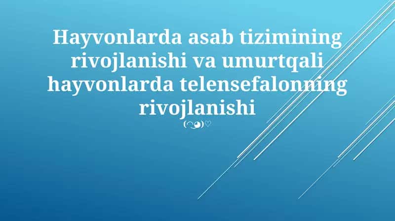Umurtqali hayvonlarda telensefalonning rivojlanishi