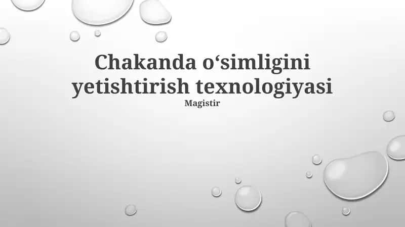 Chakanda Oʻsimligini Yetishtirish Texnologiyasi