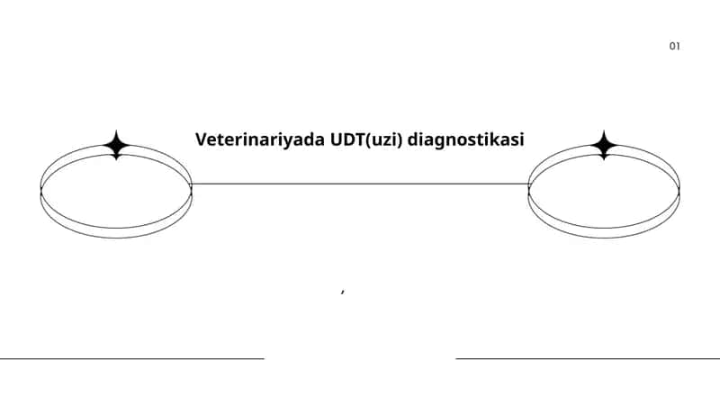 Veterinariyada UDT(uzi) diagnostikasi