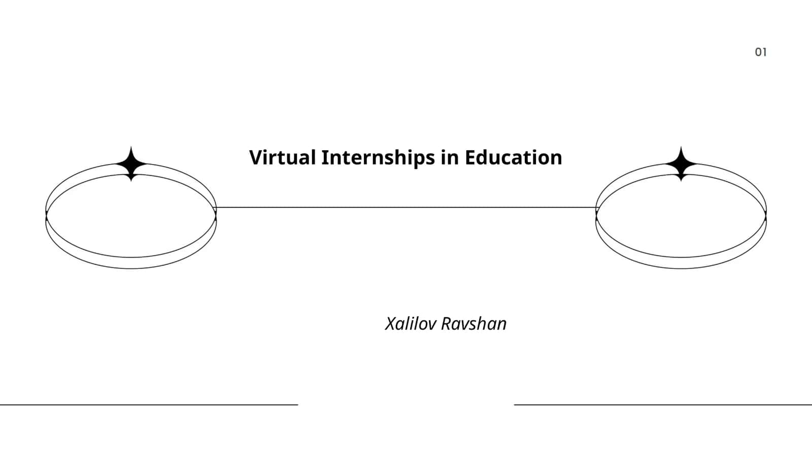 Virtual Internships in Education