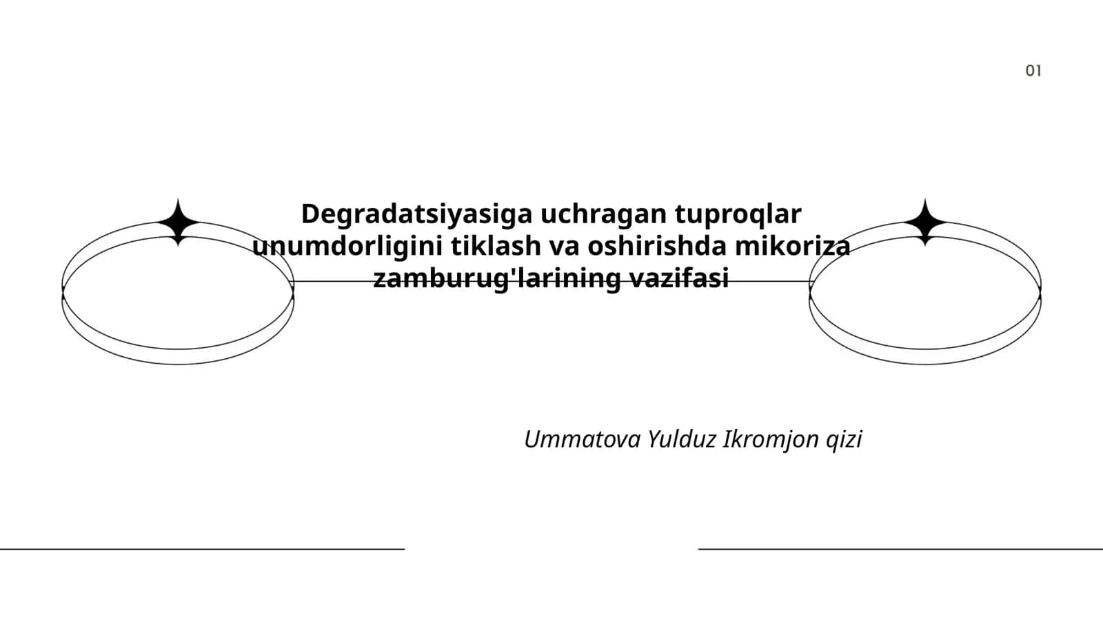 Mikoriza zamburug'larining vazifasi tuproqda
