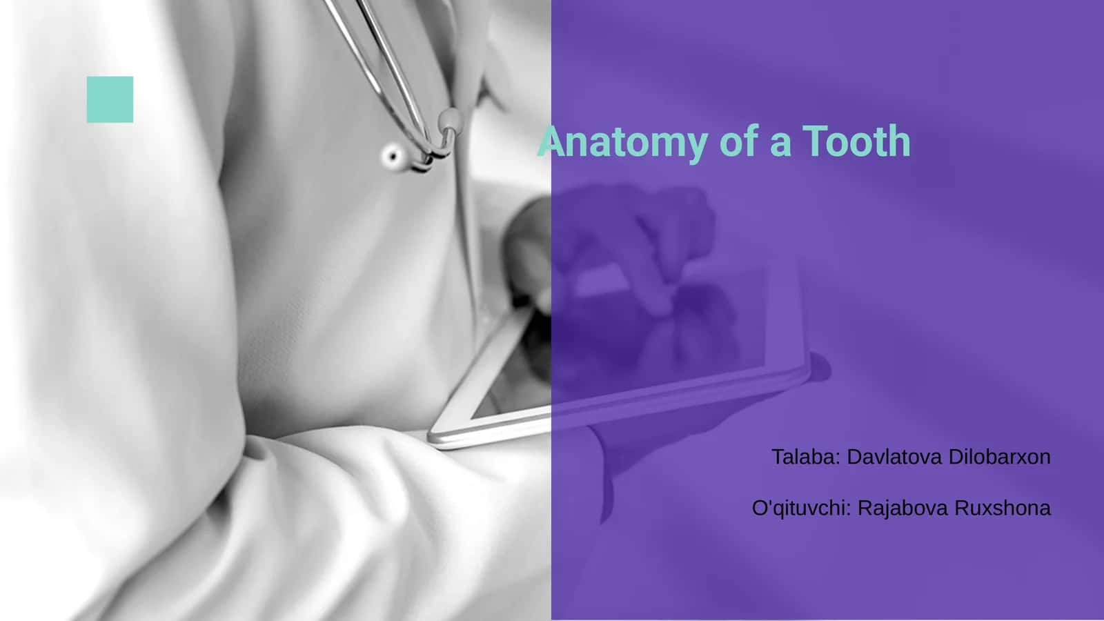 Anatomy of a Tooth