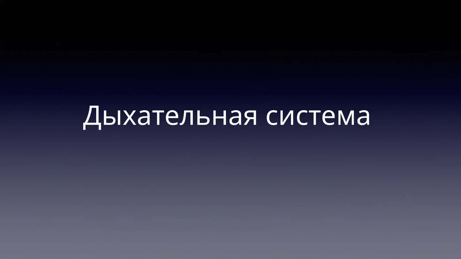 Дыхательная система