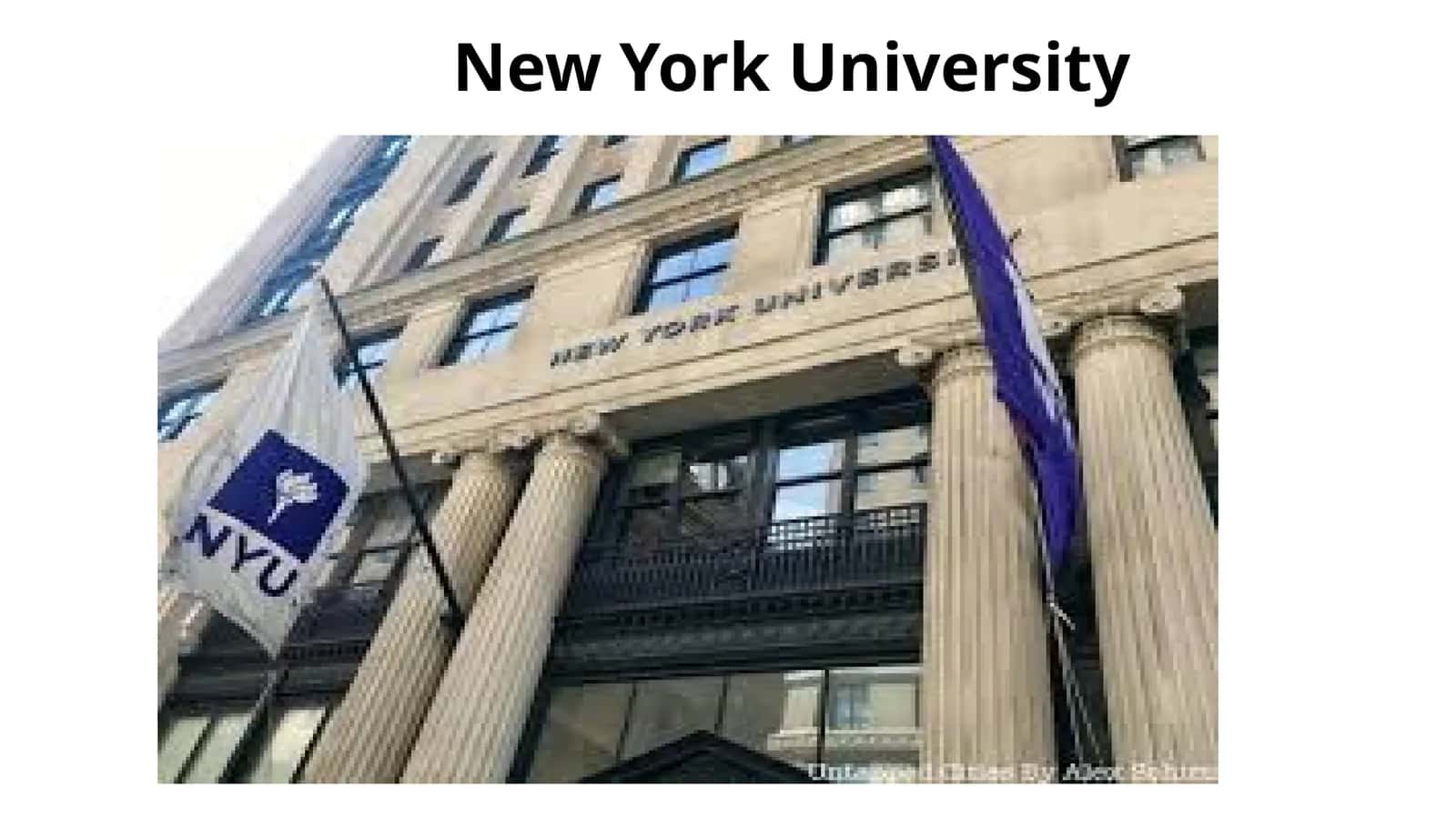 Nyu-York universiteti (NYU)