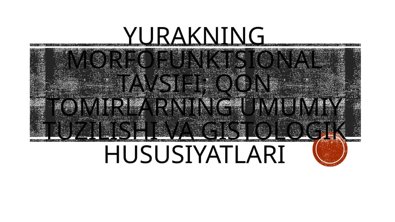 Yurakning morfofunktsional tavsifi