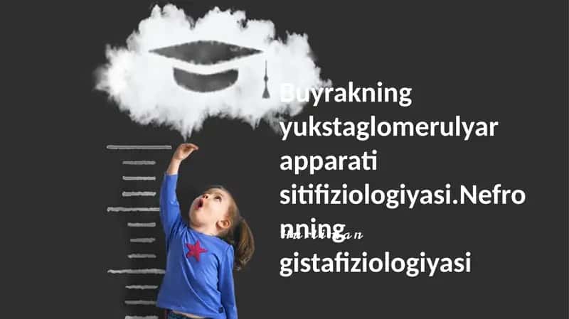 Buyrakning yukstaglomerulyar apparati sitifiziologiyasi