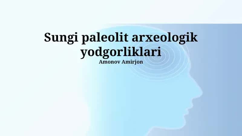 Sungi paleolit arxeologik yodgorliklari