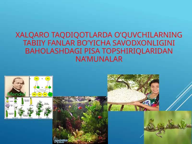 Mendel tadqiqotlari