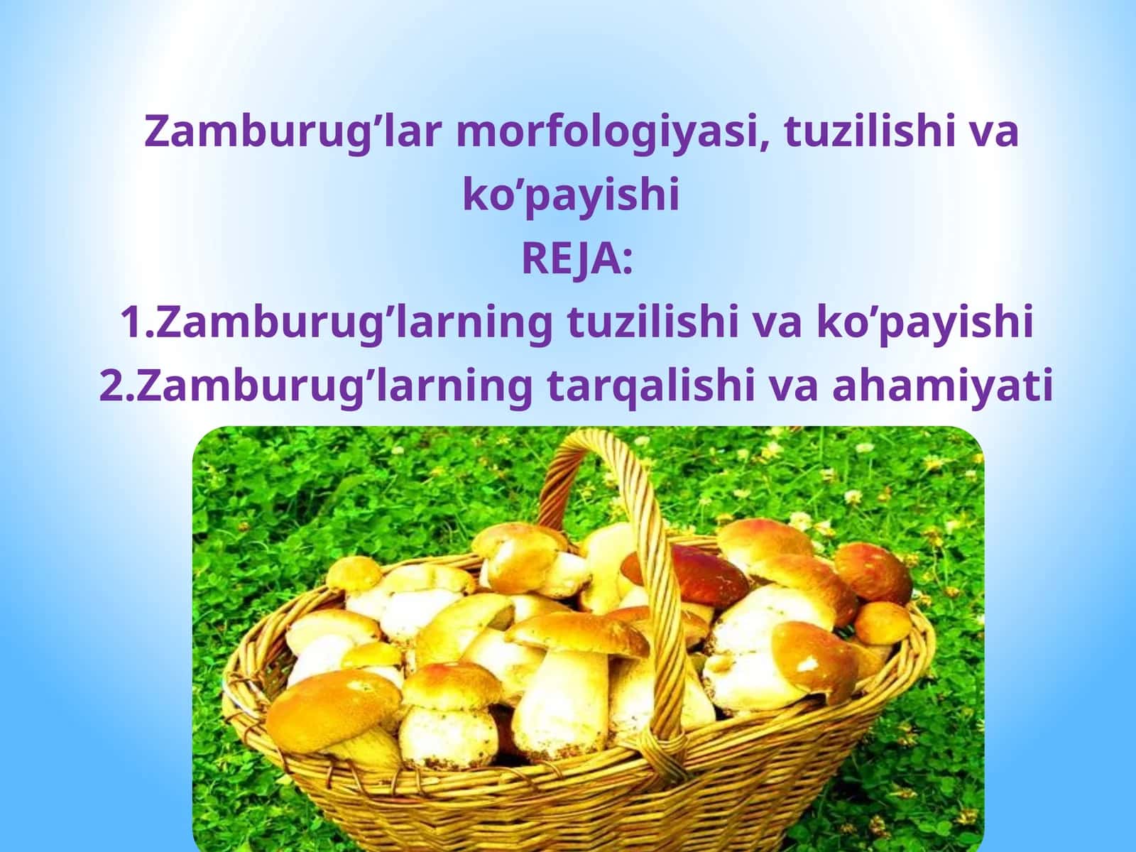 Zamburug’lar morfologiyasi, tuzilishi va ko’payishi