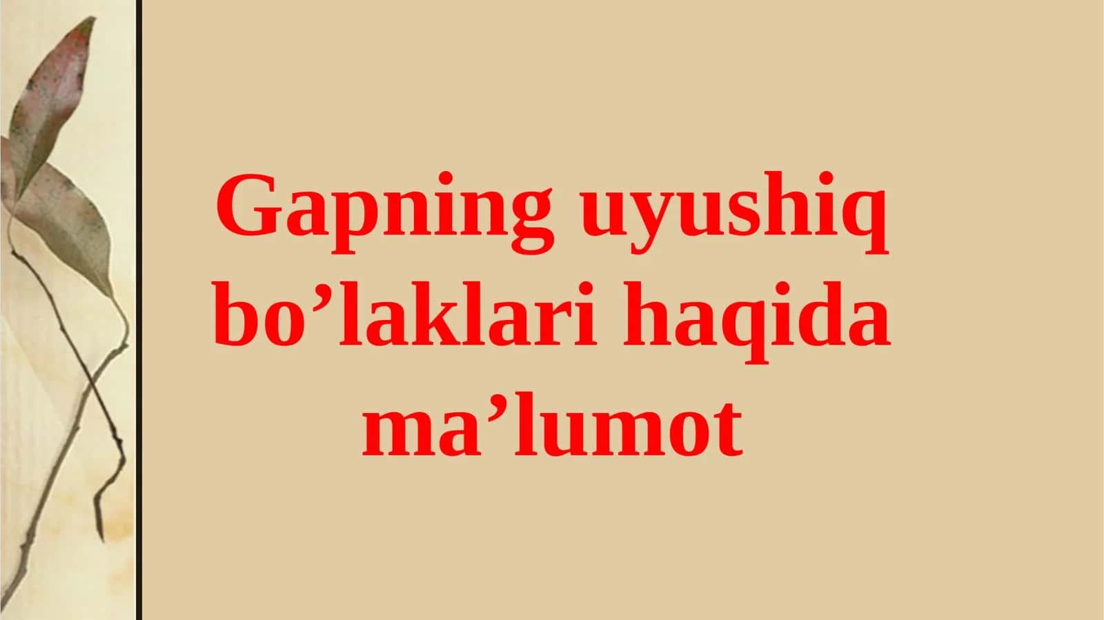 Gapning uyushiq bo’laklari haqida ma’lumot