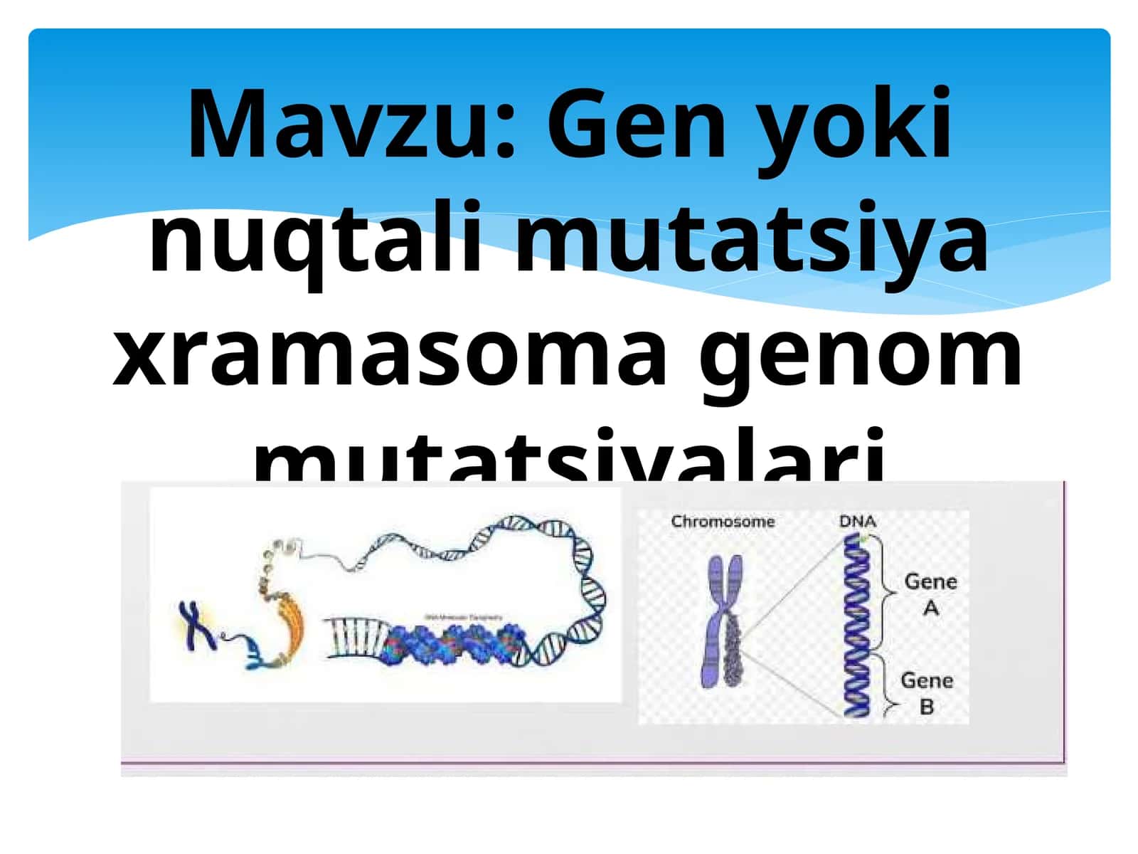 Gen yoki nuqtali mutatsiya xramasoma genom mutatsiyalari